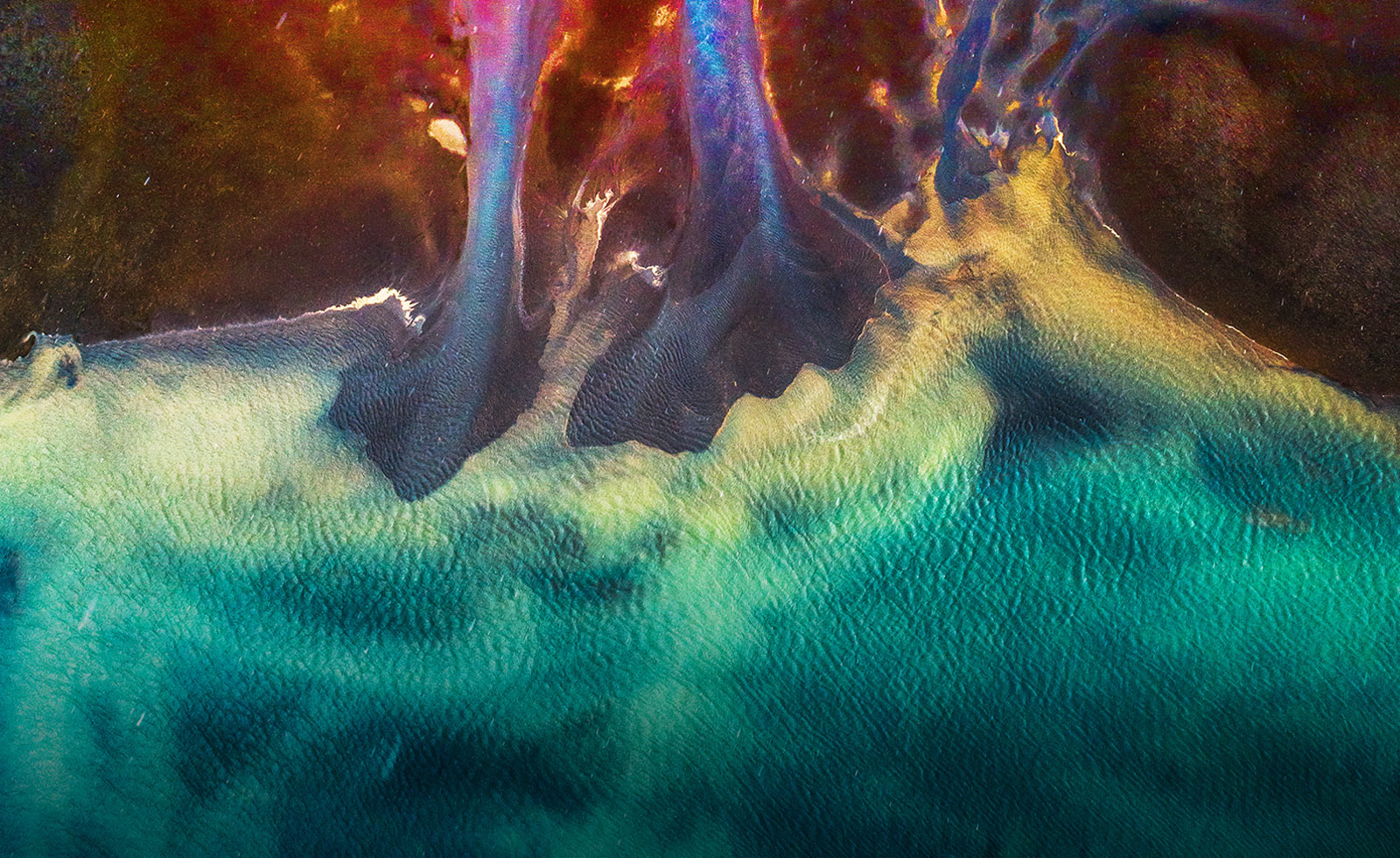 NanoCell Technology