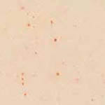 Copper-Infused Memory Foam