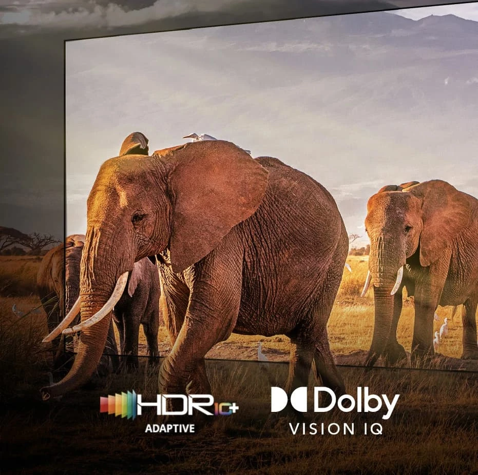 Total HDR Solution - See all the content you love in dazzling detail