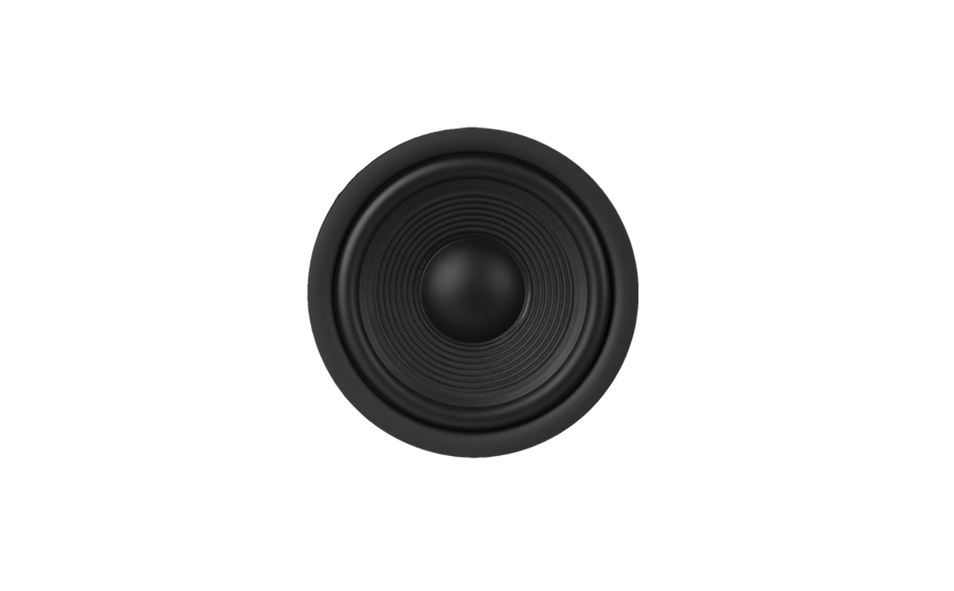 12-inch (300mm) Polycellulose Ribbed Cone Low-Frequency Woofer