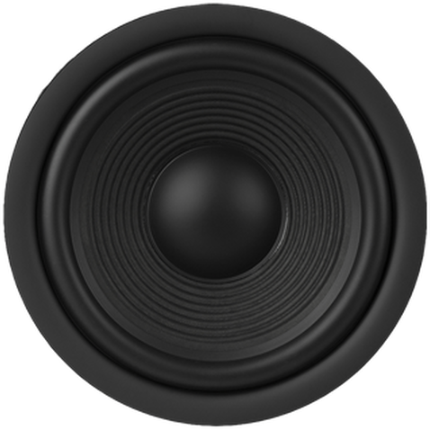 5.25-inch (130mm) Polycellulose Ribbed Cone Woofer