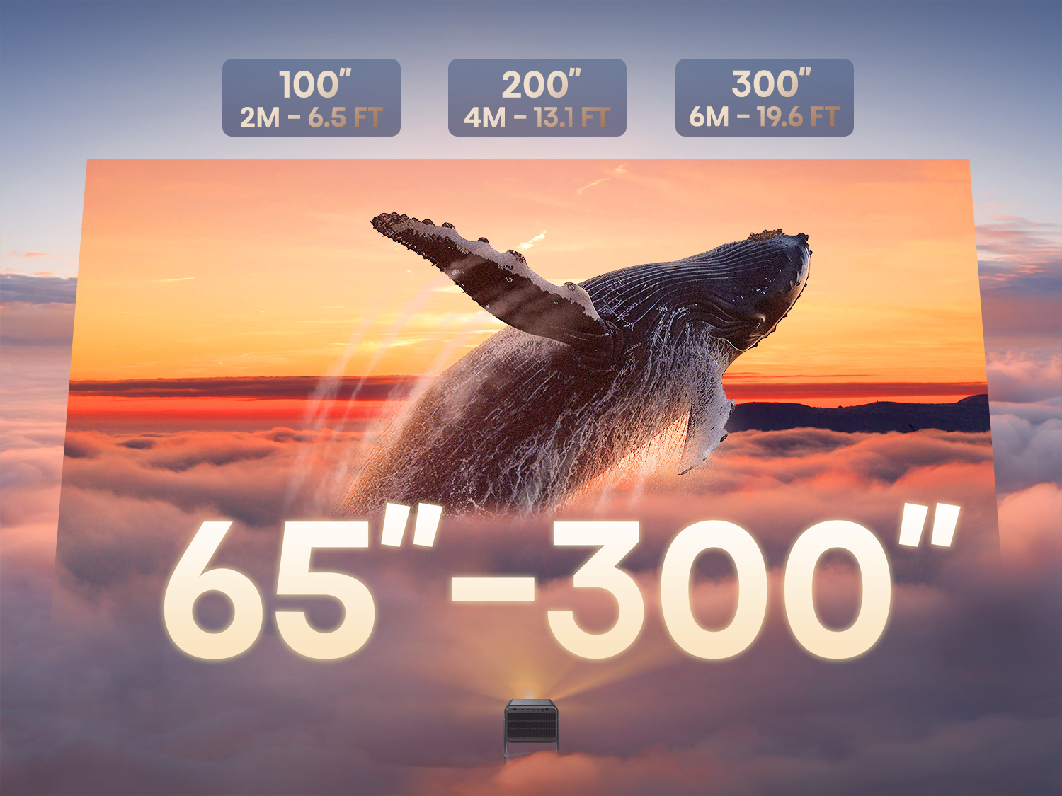 65