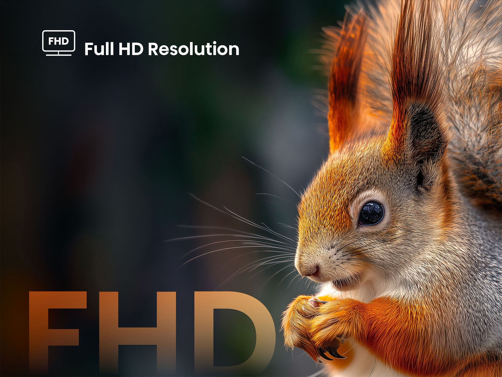 Résolution Full HD