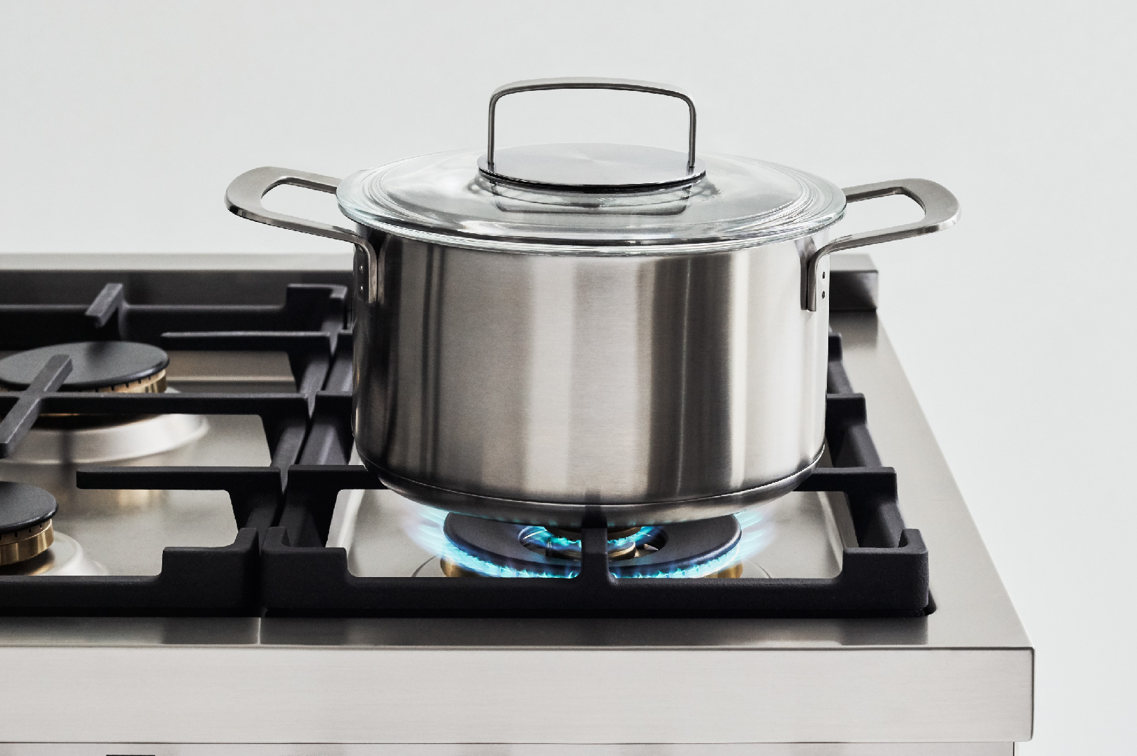Plan de cuisson haute efficacité et sonde alimentaire numérique